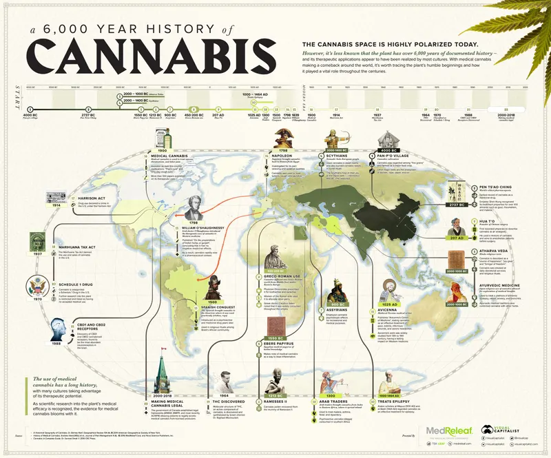 An infographic showing cannabis history through a timeline and map.