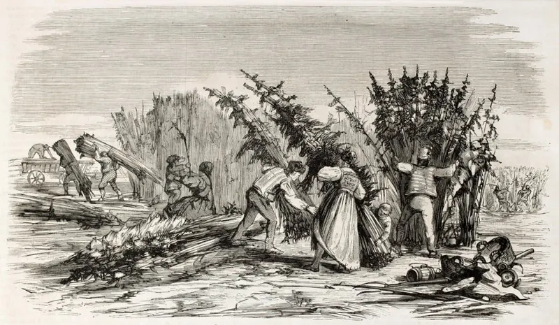 A historic engraving depicting a hemp harvest.