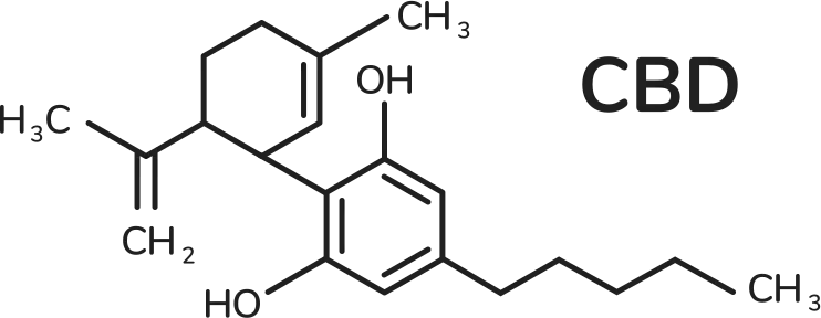 The chemical structure of the CBD molecule.