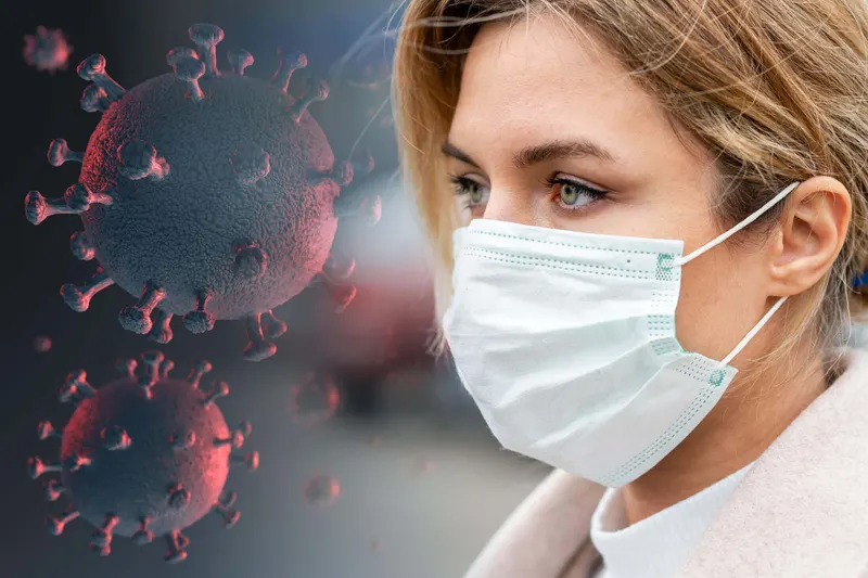 The immune system and CBD