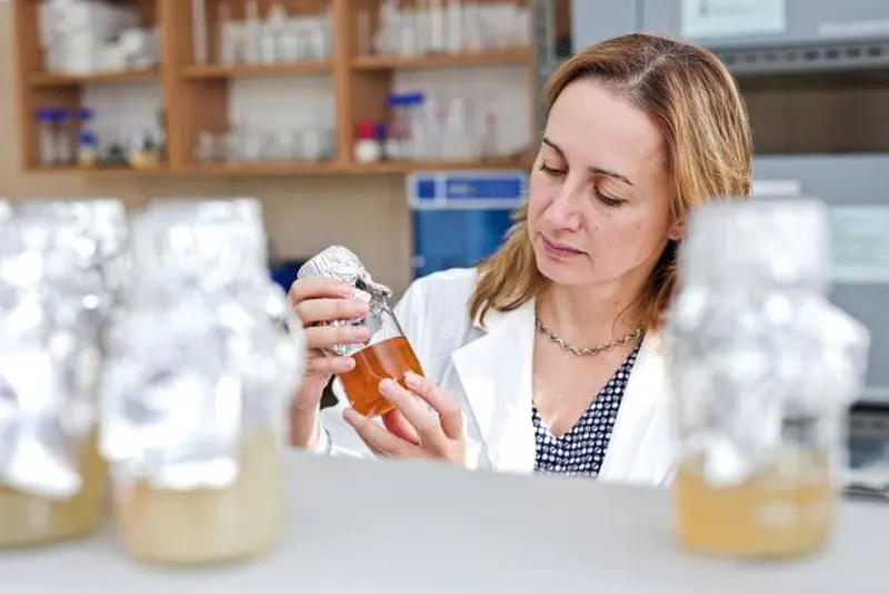 A team led by Professor Aneta Ptaszyńska of Maria Curie-Skłodowska University in Lublin, pictured, was the first to test the lifespan of pesticide-exposed bees after hemp extract.