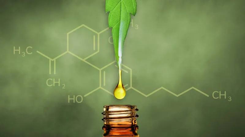 A drop falling from a hemp leaf into an oil bottle, with a molecular illustration.