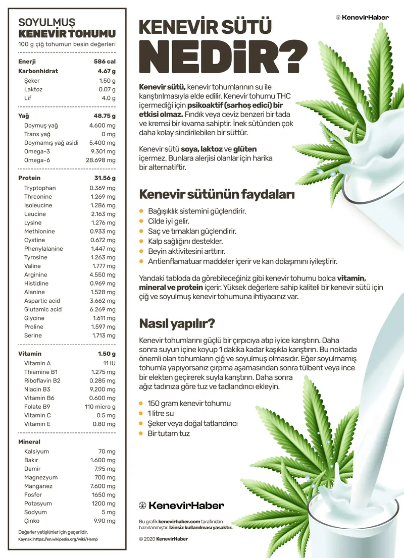 Infographic explaining how hemp milk is made and its properties.