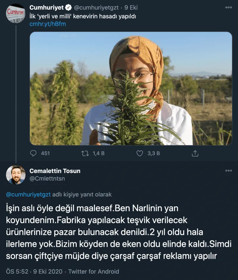 Screenshot of a social media post containing a photograph of a person in a hemp field.