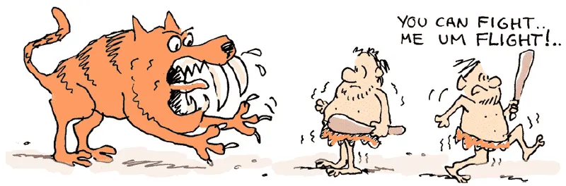 A cartoon depicting the fight-or-flight response when facing a tiger.