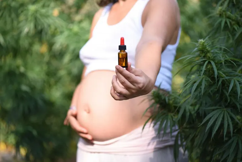 A pregnant person holding a dropper bottle beside hemp plants.