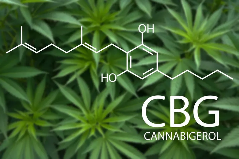 The chemical structure of the CBG molecule over cannabis leaves.