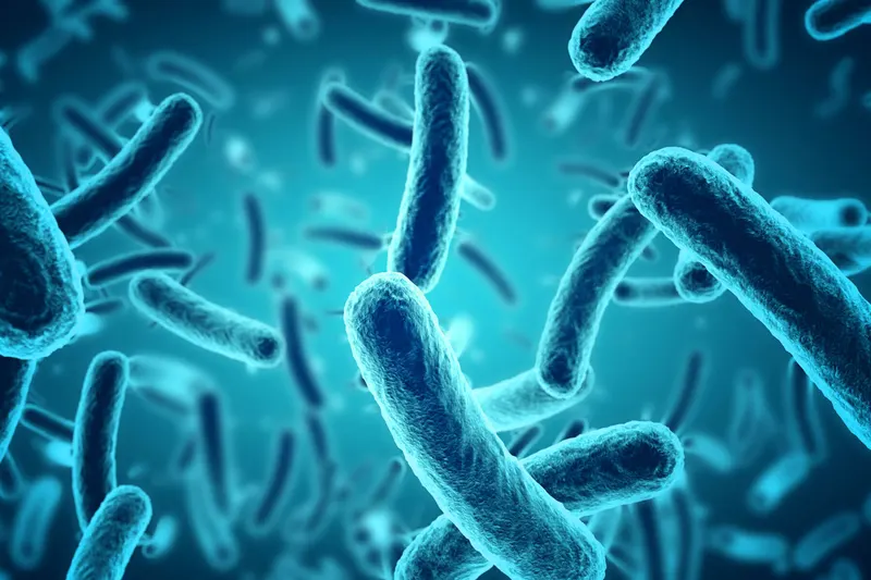 CBD shown again to kill bacteria
