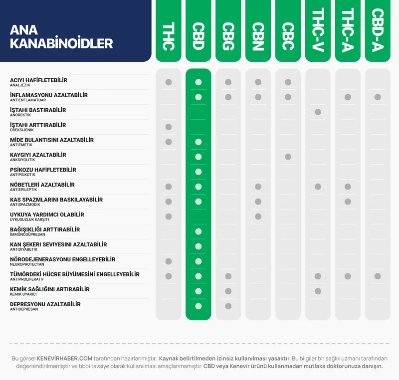 A table comparing the properties of the main cannabinoids.