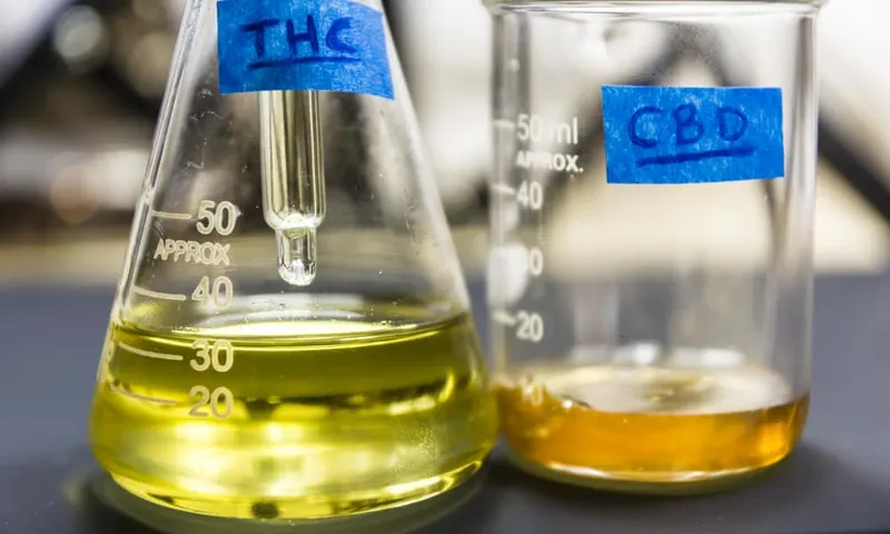Laboratory containers labeled THC and CBD.