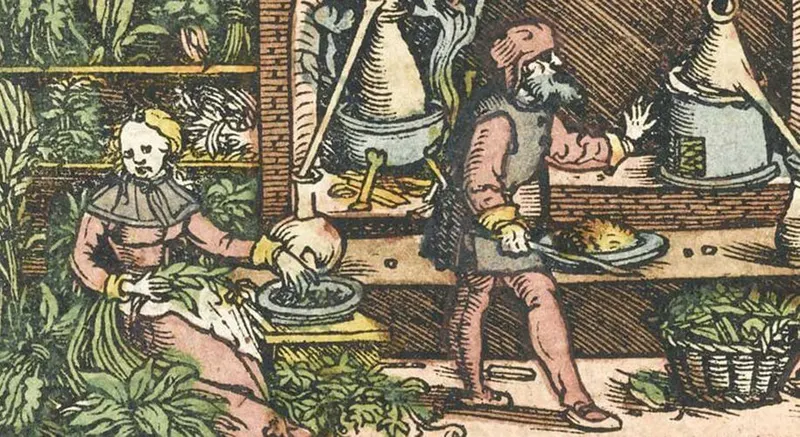 A historical drawing showing plants and people.