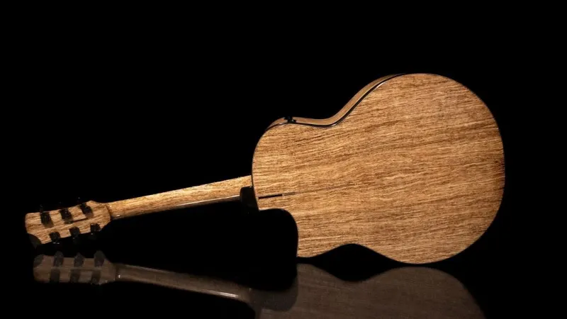 The back of a guitar made from hemp material.