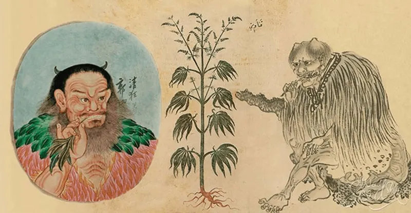 An illustration composed of plant motifs and historical figures.