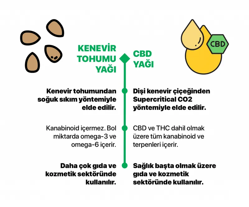 An infographic comparing how hemp seed oil and CBD oil are obtained and what they contain.